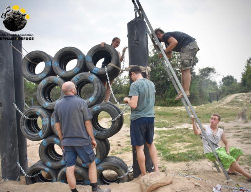 Some Heavy Enrichments for the Ele’s in Midlands!