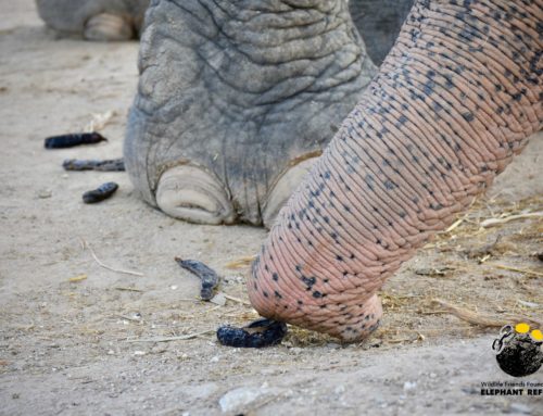 Check out my trunk!