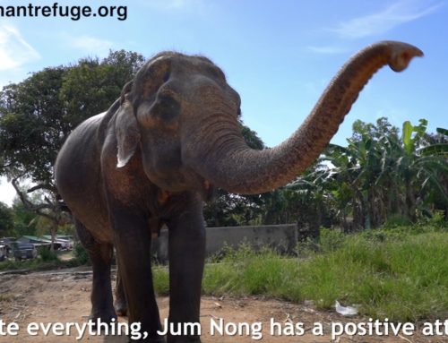 🔊VIDEO: Jum Nong’s Rescue