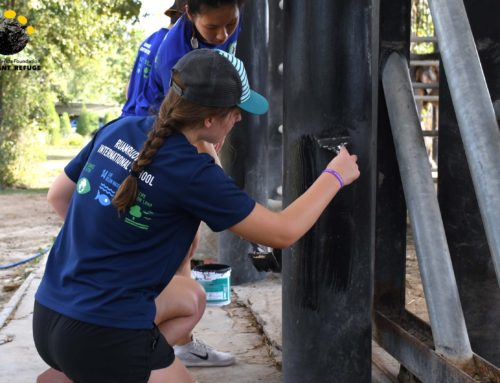 Ruamrudee International School Volunteering At WFFT Elephant Refuge