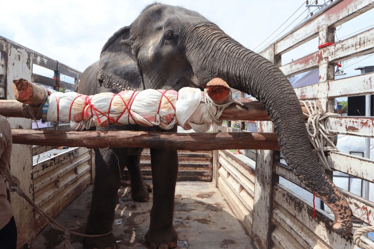 Nam Chok's rescue